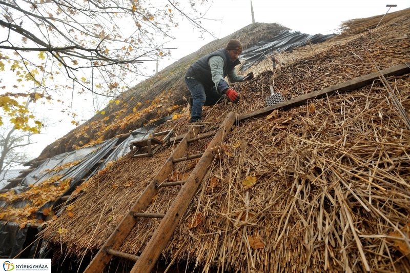 Nád a házam teteje