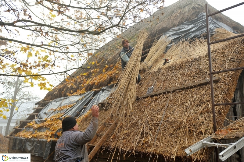 Nád a házam teteje