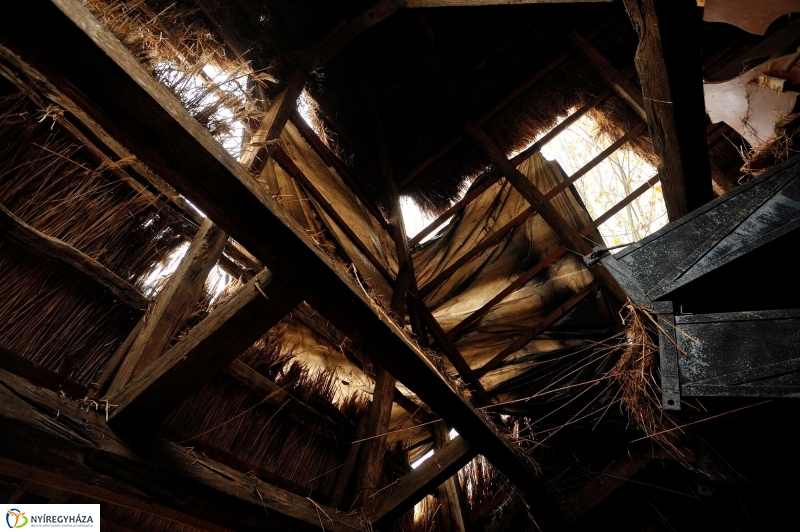 Nád a házam teteje