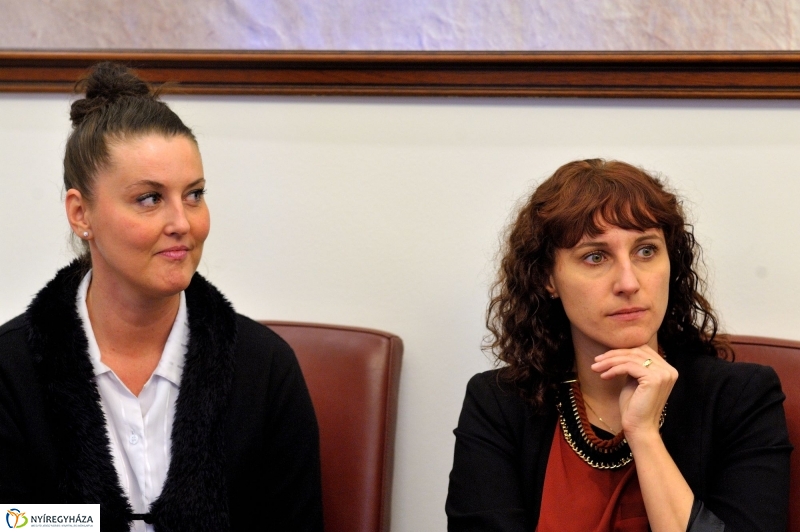 Az Osztrák Köztársaság nemzeti ünnepe