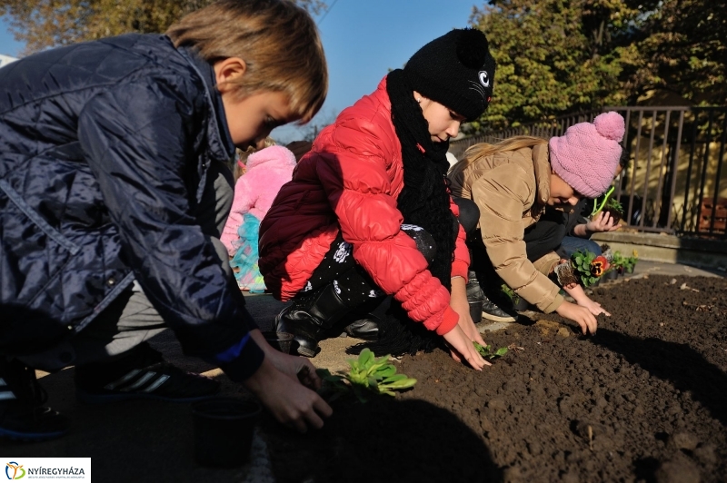 Új Alma utcai zebra felfestése