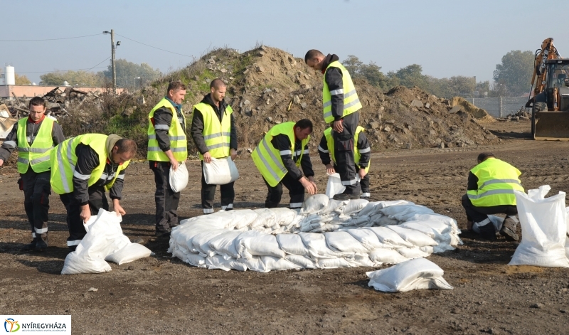 Eskütétel és gyakorlat 