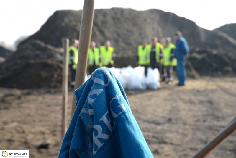 Eskütétel és gyakorlat 