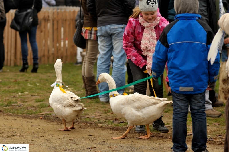 Márton-napi vigasságok 2015