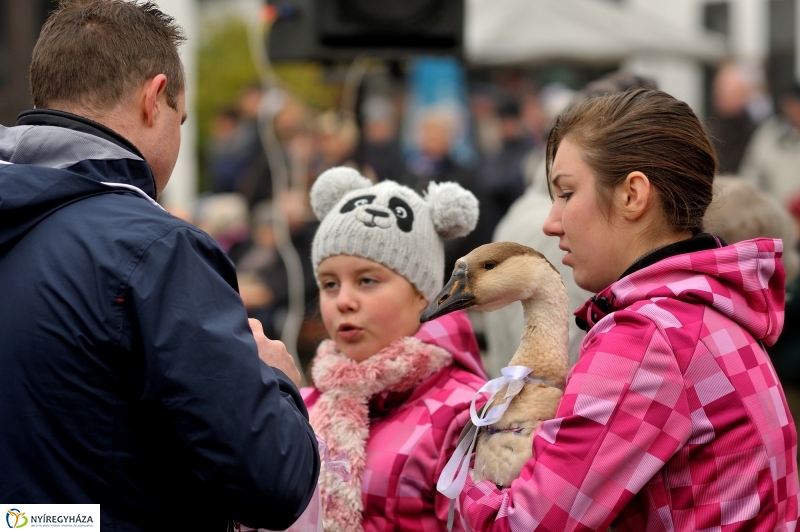 Márton-napi vigasságok 2015