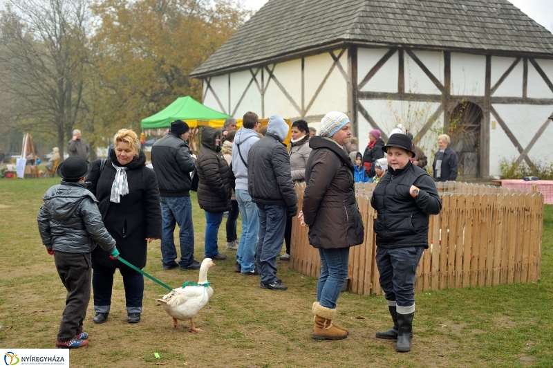 Márton-napi vigasságok 2015