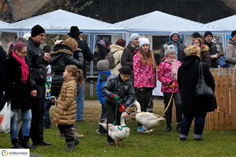 Márton-napi vigasságok 2015