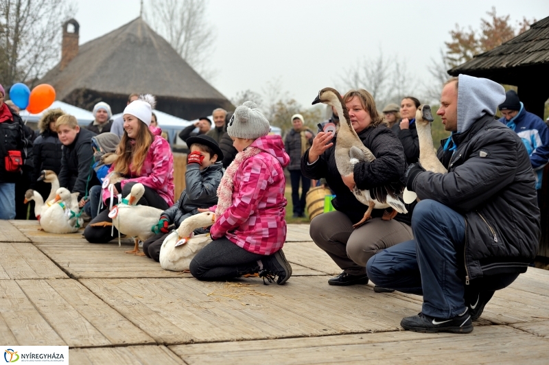 Márton-napi vigasságok 2015