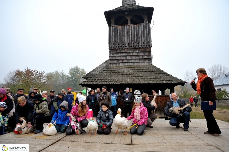 Márton-napi vigasságok 2015