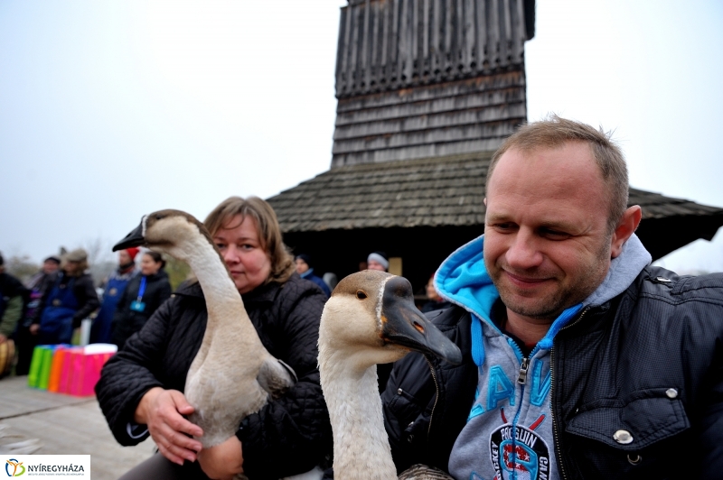 Márton-napi vigasságok 2015