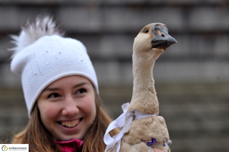 Márton-napi vigasságok 2015