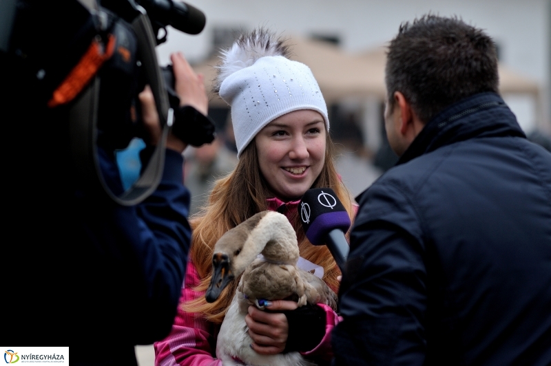 Márton-napi vigasságok 2015