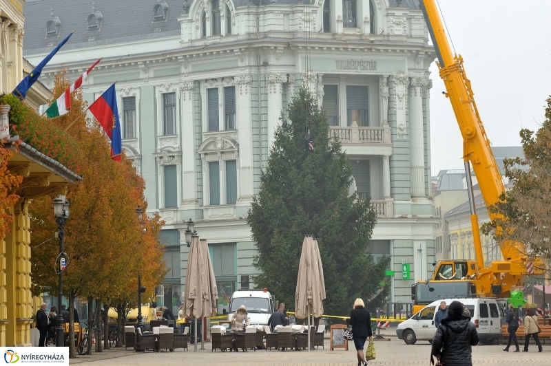 Kossuth térre érkezett a karácsonyfa