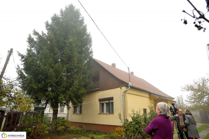 Kossuth térre érkezett a karácsonyfa