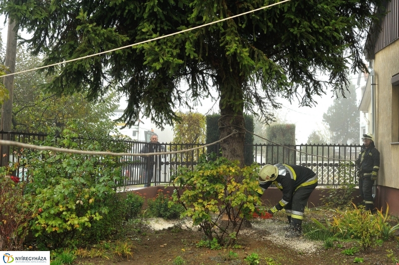 Kossuth térre érkezett a karácsonyfa