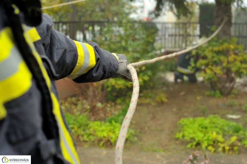 Kossuth térre érkezett a karácsonyfa