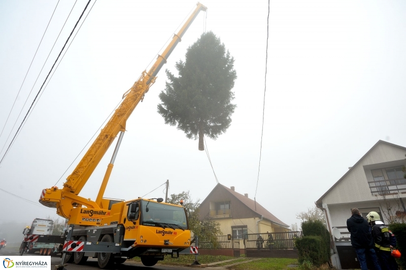 Kossuth térre érkezett a karácsonyfa