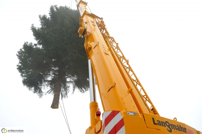 Kossuth térre érkezett a karácsonyfa