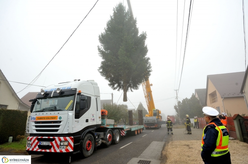 Kossuth térre érkezett a karácsonyfa