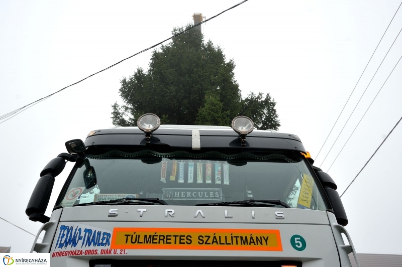 Kossuth térre érkezett a karácsonyfa