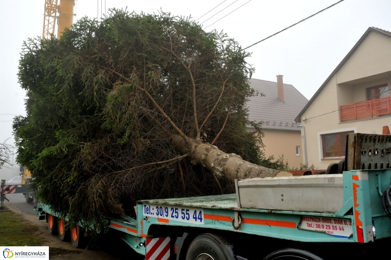 Kossuth térre érkezett a karácsonyfa