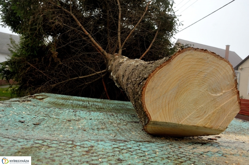 Kossuth térre érkezett a karácsonyfa