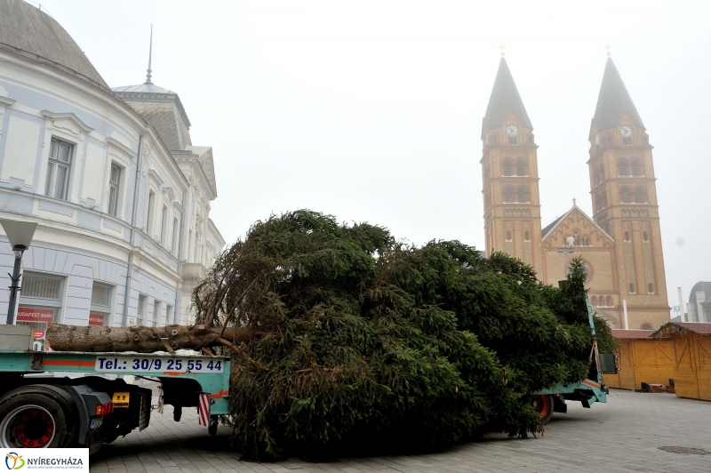 Kossuth térre érkezett a karácsonyfa
