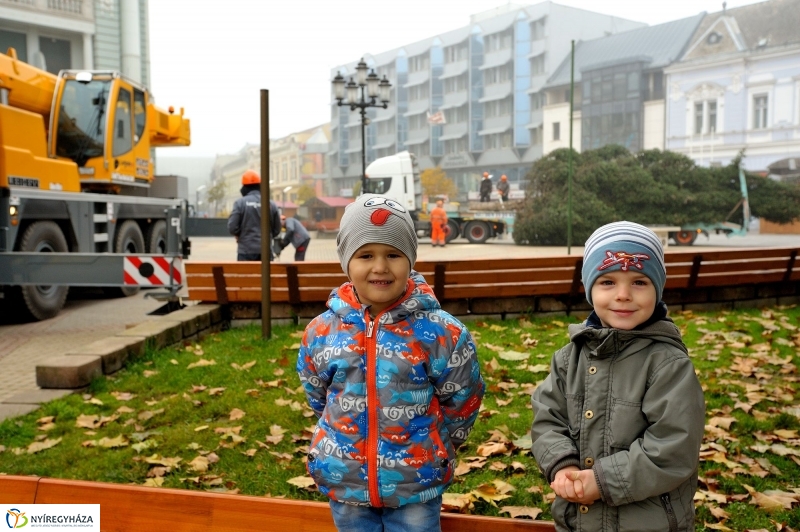 Kossuth térre érkezett a karácsonyfa