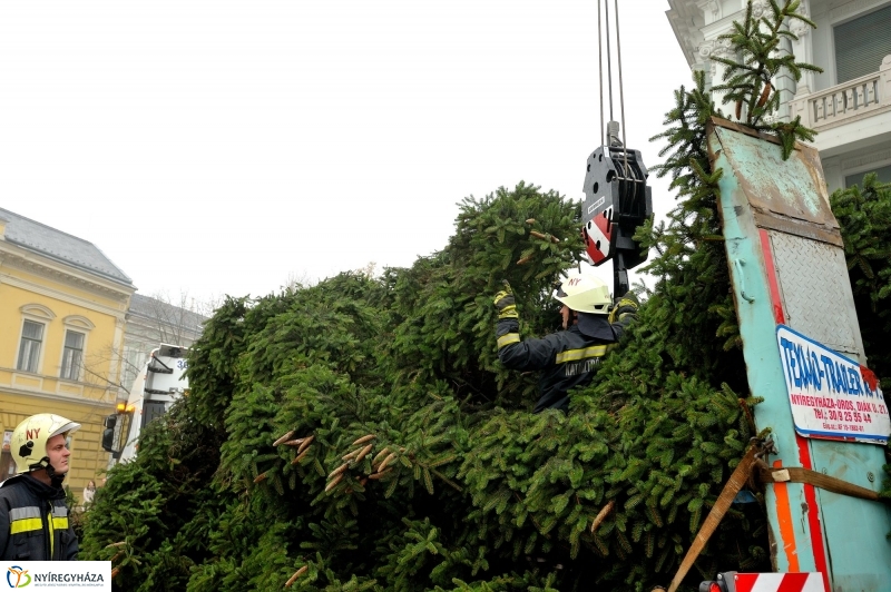 Kossuth térre érkezett a karácsonyfa