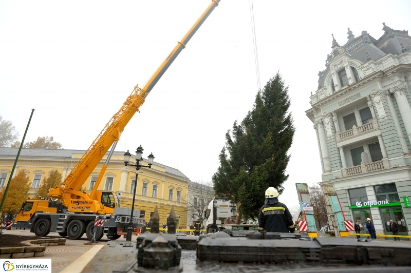 Kossuth térre érkezett a karácsonyfa
