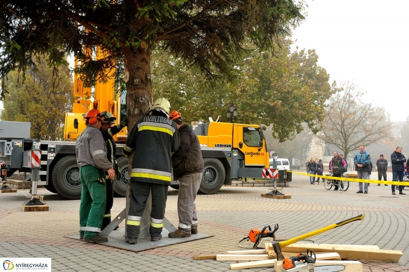 Kossuth térre érkezett a karácsonyfa