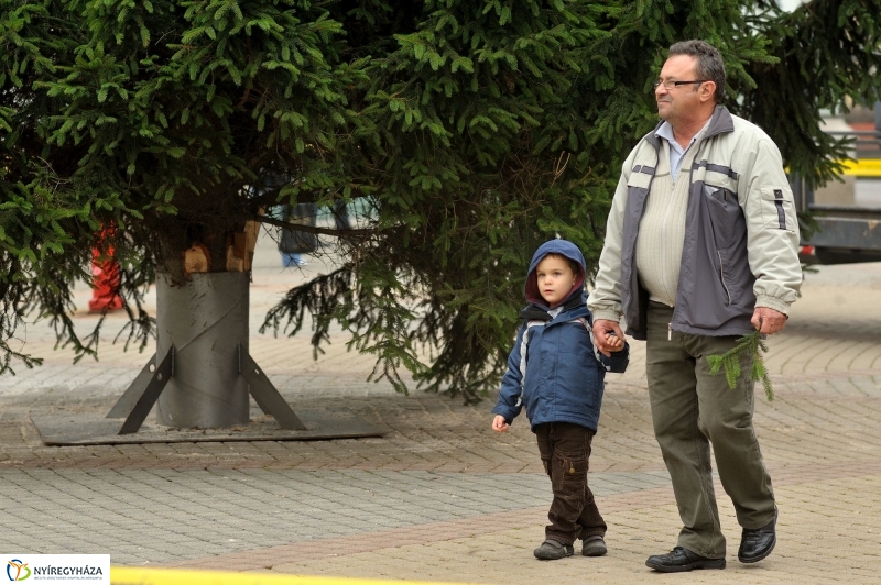 Kossuth térre érkezett a karácsonyfa