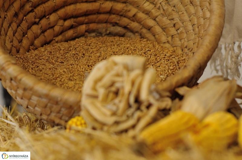 Agrárszakképzési tájékoztató