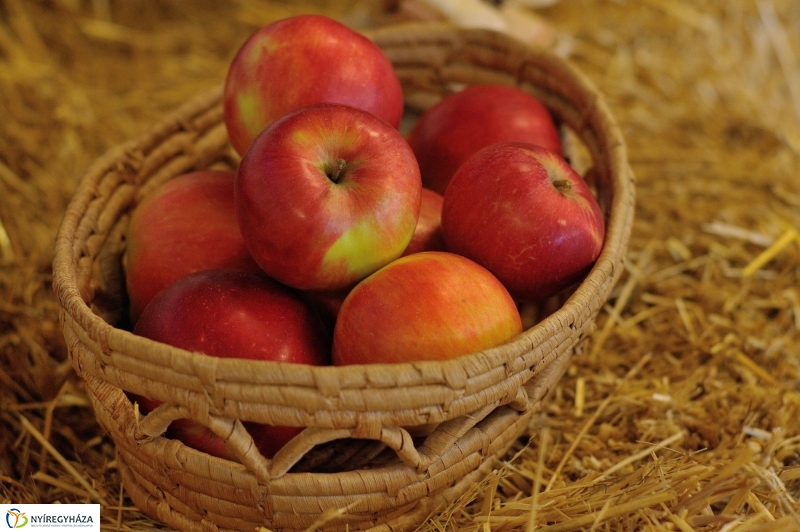 Agrárszakképzési tájékoztató