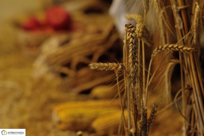 Agrárszakképzési tájékoztató