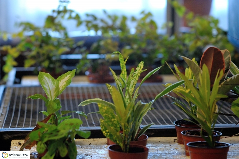 Agrárszakképzési tájékoztató