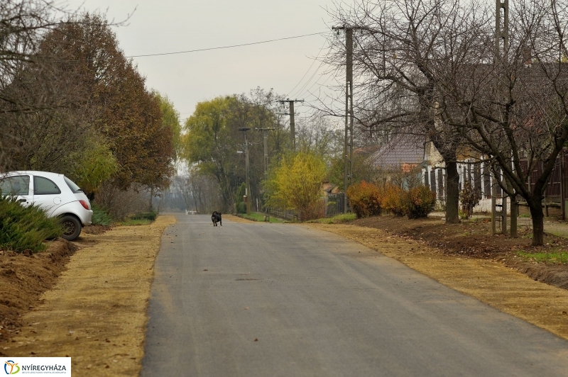 Új útszakasz átadása - Mérő-Majoranna-Madár út kereszteződése