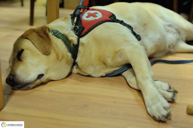 A szeretet hangja - adventi felolvasás