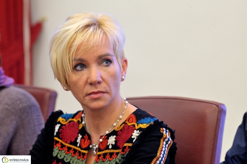 4 város, 4 ország - Kulturális szakemberek találkozója Nyíregyházán