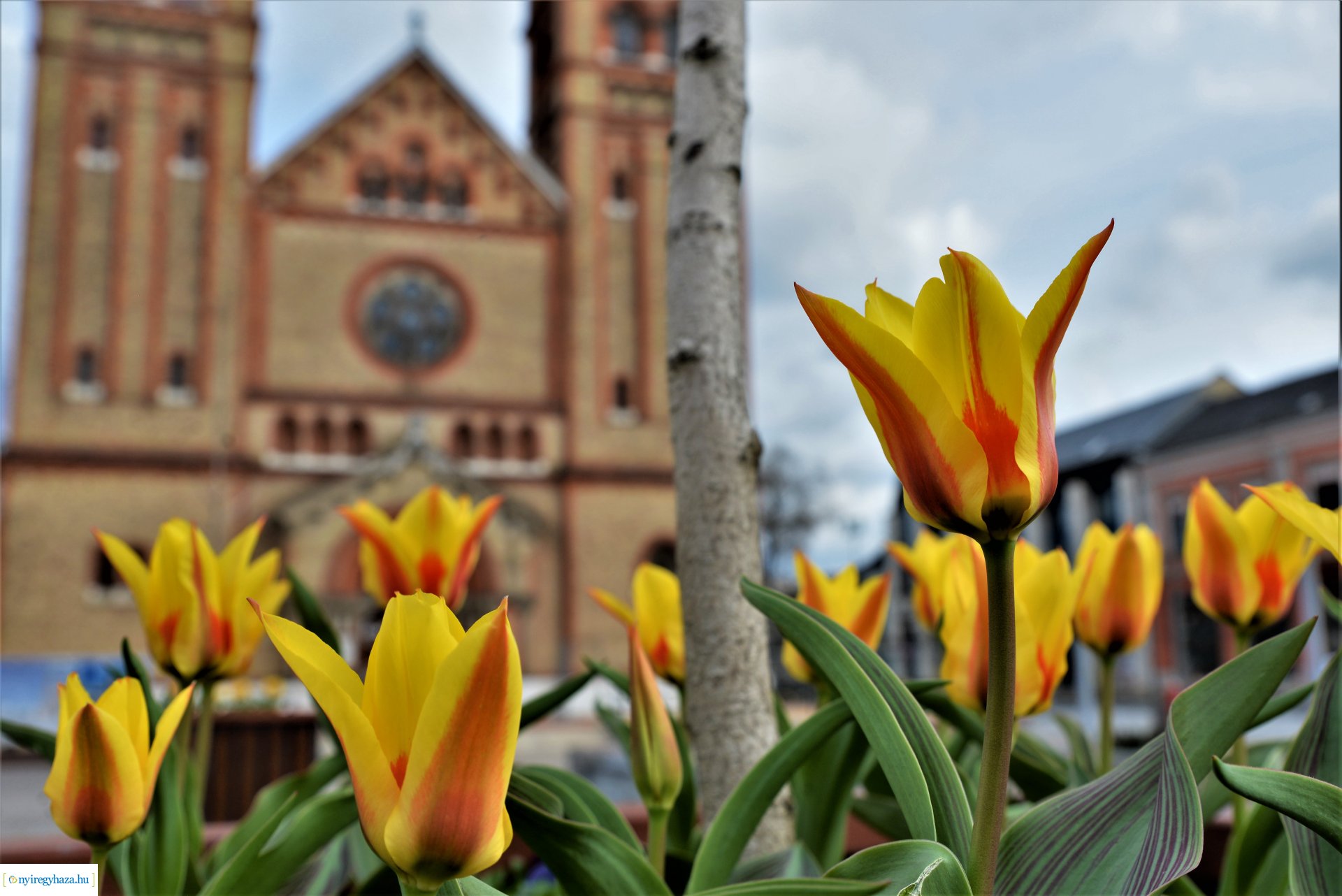 30. Városi Keresztút