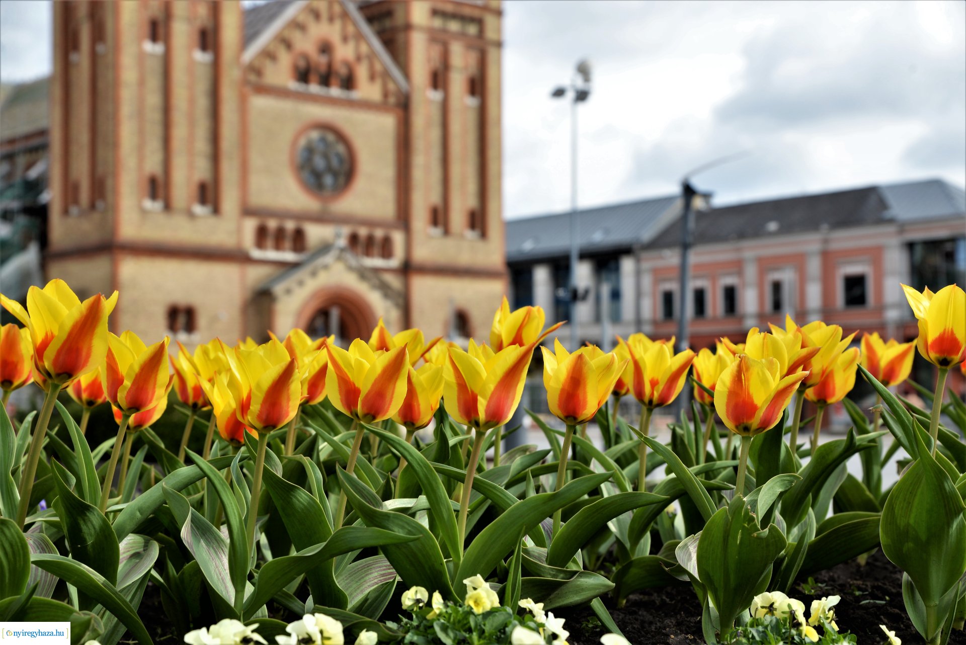 30. Városi Keresztút