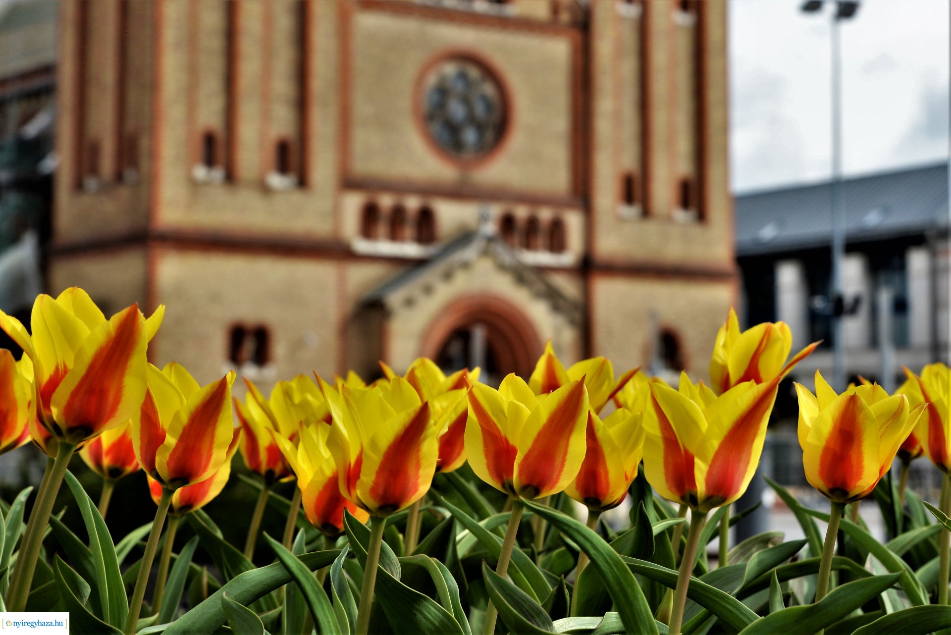 30. Városi Keresztút