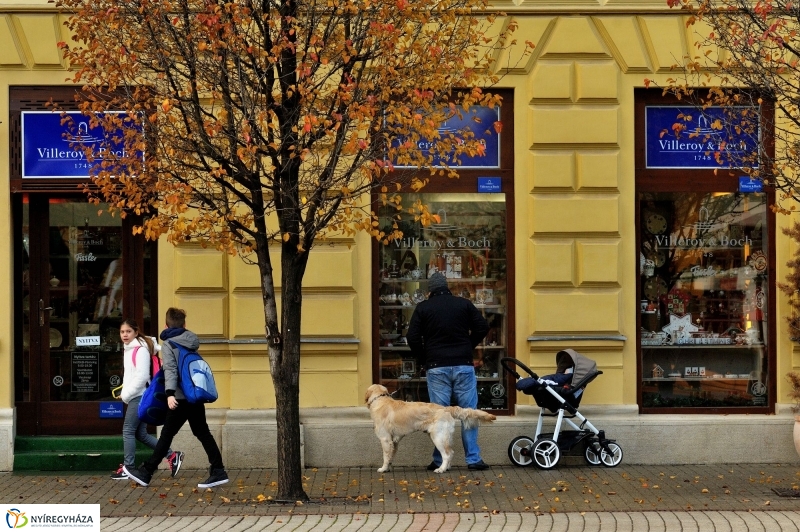 Séta a Karácsonyi Forgatagban