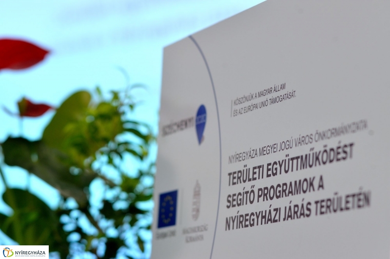 Területi együttműködést segítő programok