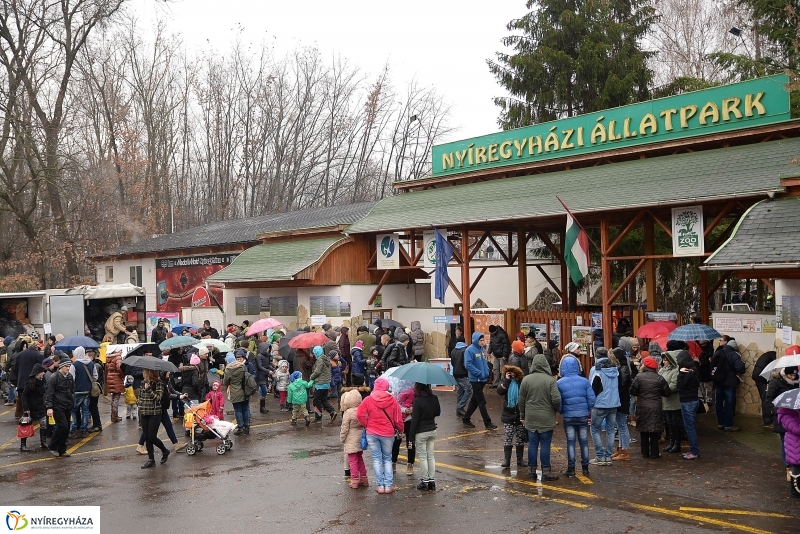 100 forintos nap az Állatparkban