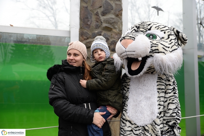 100 forintos nap az Állatparkban