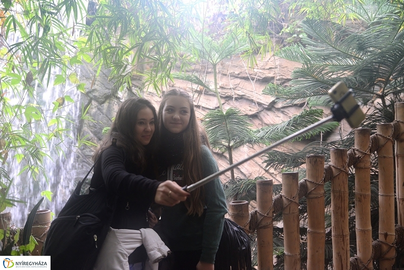 100 forintos nap az Állatparkban