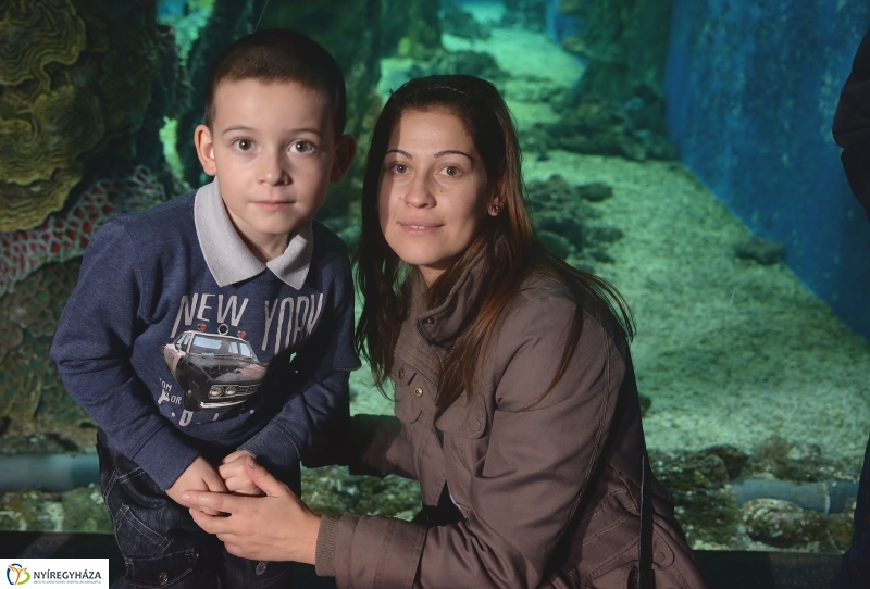 100 forintos nap az Állatparkban