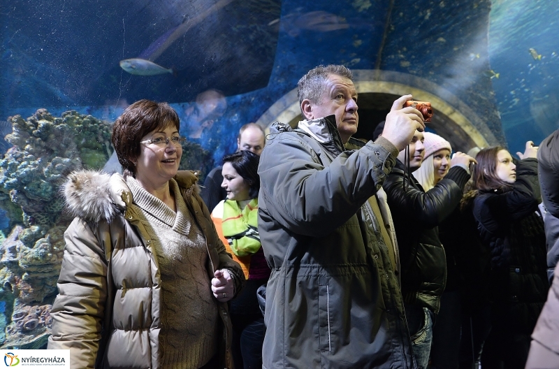 100 forintos nap az Állatparkban