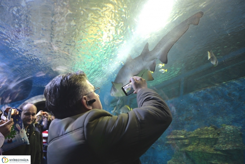 100 forintos nap az Állatparkban